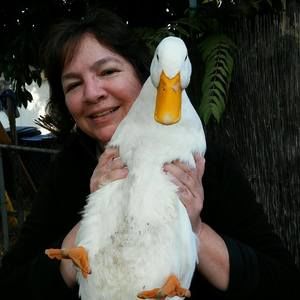 Meet your Posher, Lydia